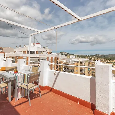 Pondarosa 54 - Costa Carpediem *